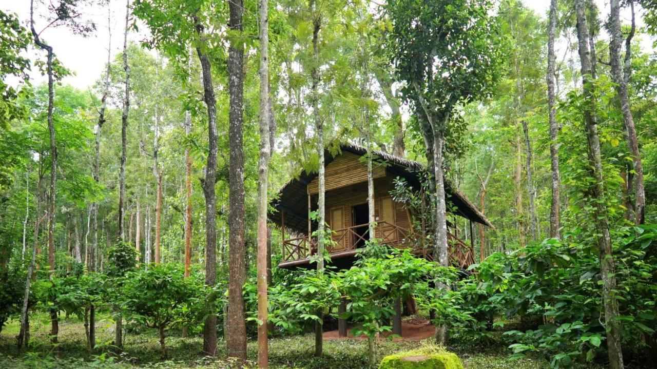 Pulpally Adrak Mountain Mist Forest Resort מראה חיצוני תמונה